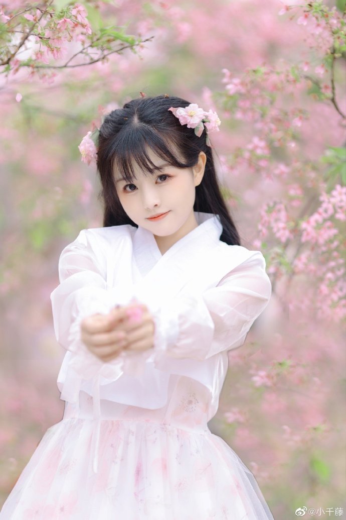 唐朝诡事录之西行 封面